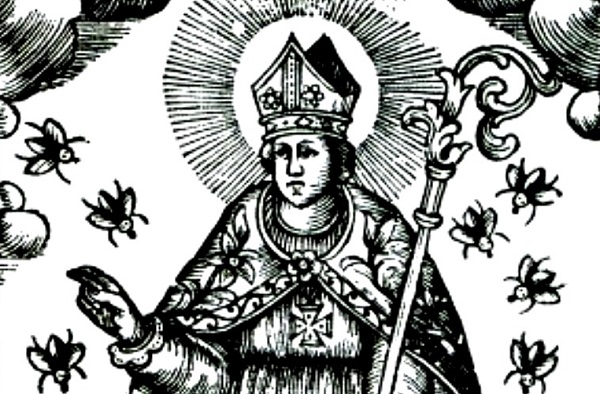  EL Milagro de las moscas